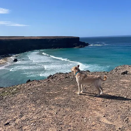 Διαμέρισμα Casa Frida Cotillo
