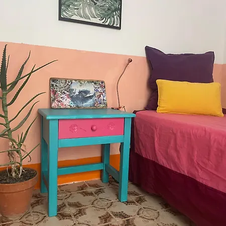 Casa Frida Cotillo