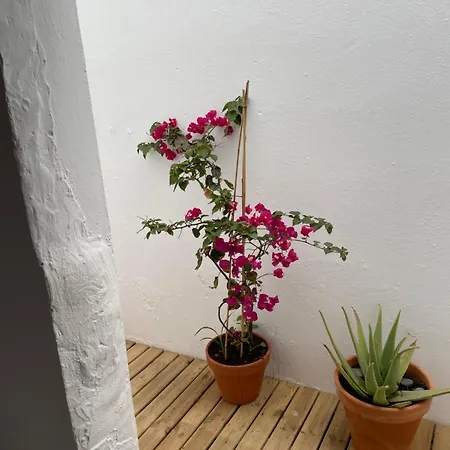 公寓 Casa Frida
