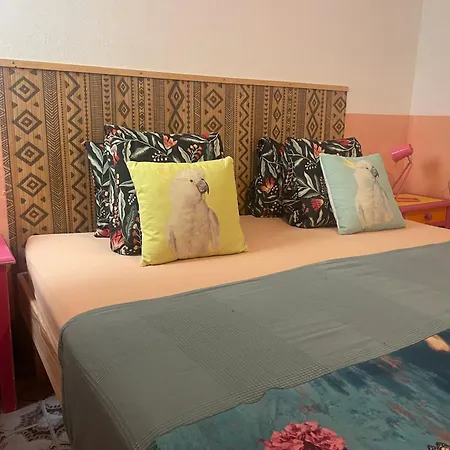 Casa Frida Daire Cotillo