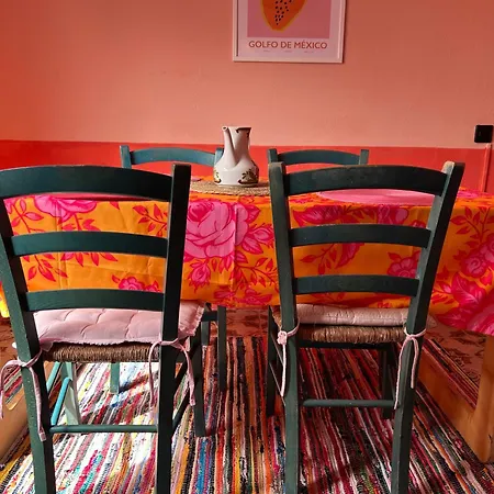 Casa Frida Cotillo