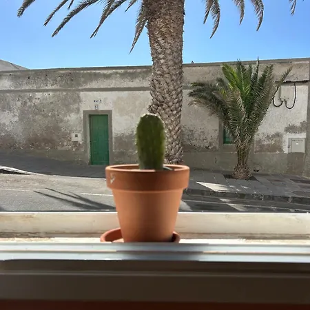 Casa Frida Cotillo