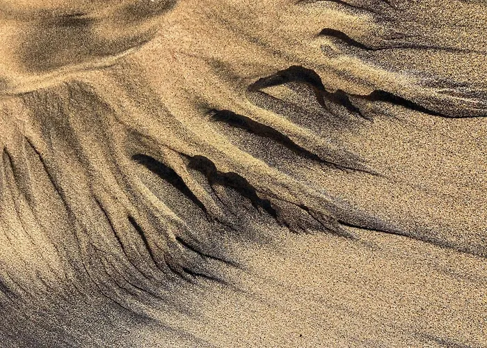 Apartment Casa Frida